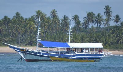 Observação de baleias en Salvador da Bahia, Praia do Forte