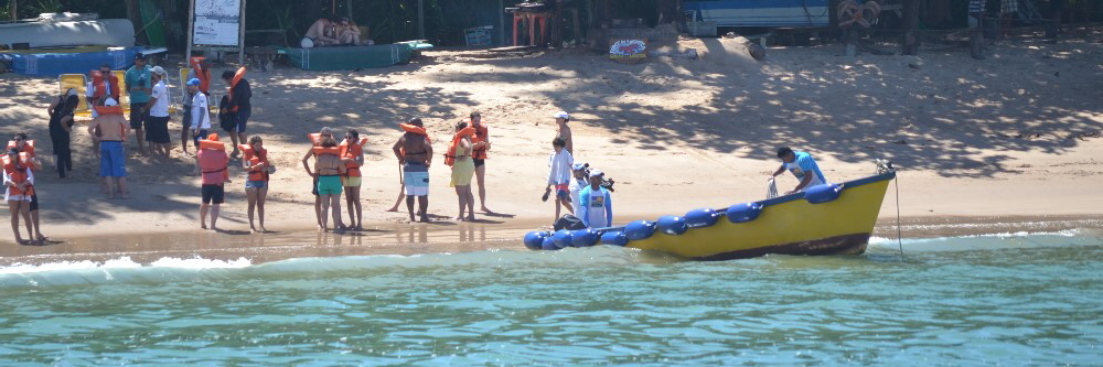 Observação de baleias en Salvador da Bahia, Praia do Forte